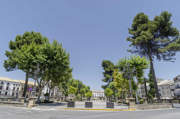 Jaén - Baeza 02 - Paseo de La Constitución.jpg